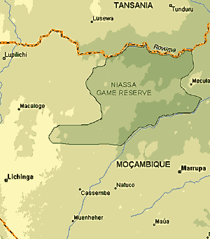 Niassa Wildreservat