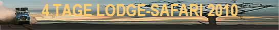 4 TAGE LODGE-SAFARI 2010