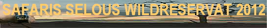 SAFARIS SELOUS WILDRESERVAT 2012