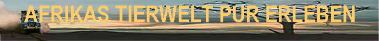 AFRIKAS TIERWELT PUR ERLEBEN