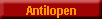 Antilopen