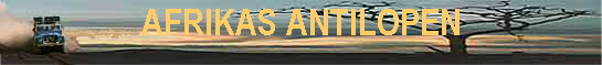 AFRIKAS ANTILOPEN