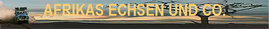 AFRIKAS ECHSEN UND CO.
