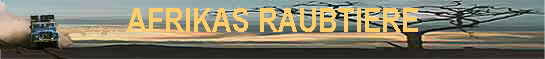 AFRIKAS RAUBTIERE